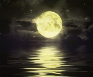 中秋の名月